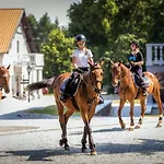 Hotel Palac Mortegi & - Restauracja Szlachecka, Spa, Basen, Sauny, Jazda Konna, Mini Zoo - Luksus, Relaks I Przyroda W Jednym! Lubawa
