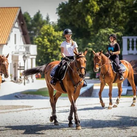 Hotell Palac Mortegi & - Konferencje Dla Biznesu - Restauracja, Spa, Basen, Sauny, Jazda Konna, Mini Zoo, Animacje Dla Dzieci - Luksus, Relaks I Przyroda W Jednym! Lubawa