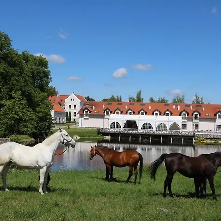 Palac Mortegi & - Konferencje Dla Biznesu - Restauracja, Spa, Basen, Sauny, Jazda Konna, Mini Zoo, Animacje Dla Dzieci - Luksus, Relaks I Przyroda W Jednym! Hotell