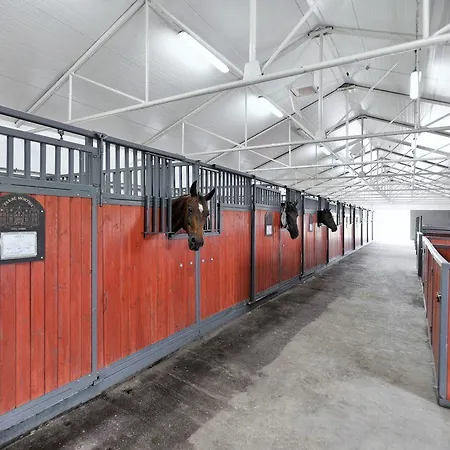 Palac Mortegi & - W Ferie Zimowe Dwojka Dzieci Do Lat 12 W Cenie Pobytu!!! Hotel 4*