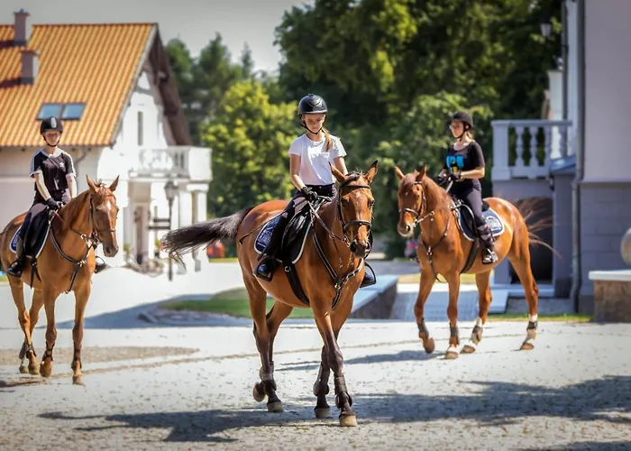 Hotel Palac Mortegi Hotel&spa - W Ferie Zimowe Dwojka Dzieci Do Lat 12 W Cenie Pobytu!!! Lubawa
