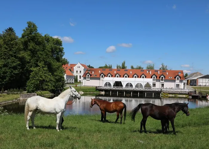 Palac Mortegi Hotel&spa - W Ferie Zimowe Dwojka Dzieci Do Lat 12 W Cenie Pobytu!!! Hotel